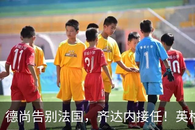 德尚告别法国，齐达内接任！英格兰获季军后，定律倾向阿根廷夺冠