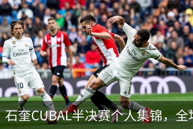石奎CUBAL半决赛个人集锦，全场得到17分7板6助